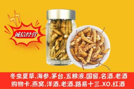 普洱市镇沅回收散虫草