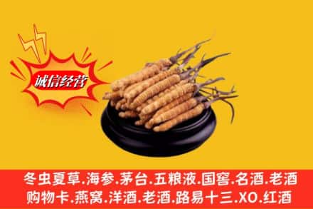 普洱市镇沅名酒回收冬虫夏草.jpg